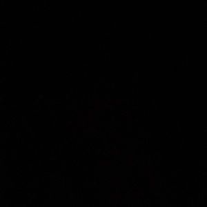 Meet your Posher, Owen